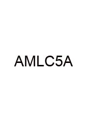 Africa Mapping Lab Challenge 5 Answers