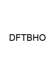 Defensive Foreign Travel Briefing How Often