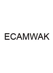 Elements Compounds & Mixtures Worksheet Answer Key