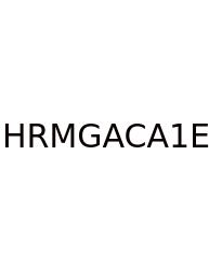 Human Resource Management Gaining A Competitive Advantage 13th Edition