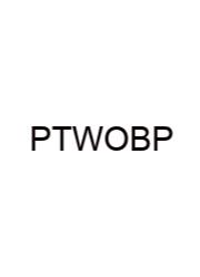 Pdf The Witch Of Blackbird Pond