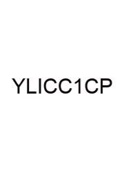 Your Life In Christ Chapter 1 Crossword Puzzle