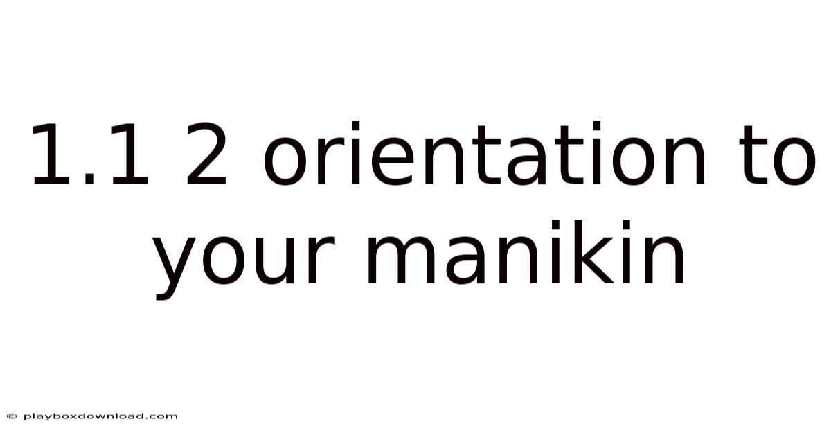 1.1 2 Orientation To Your Manikin