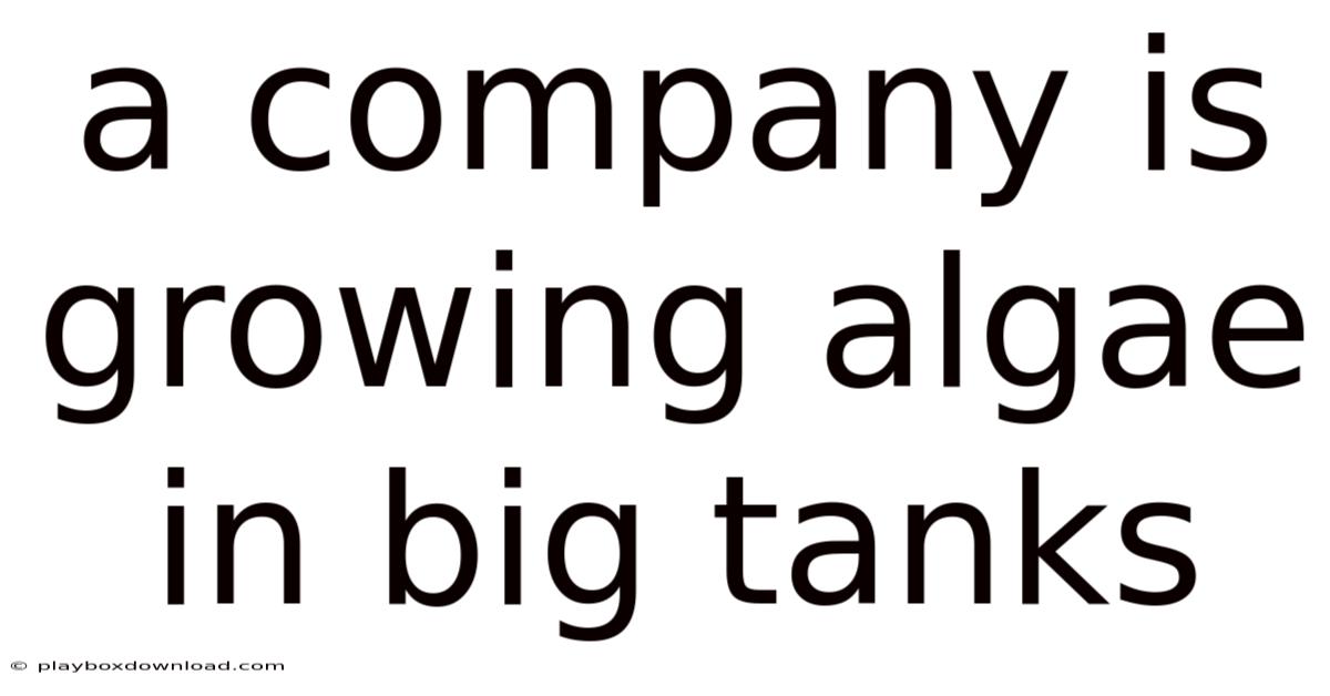 A Company Is Growing Algae In Big Tanks