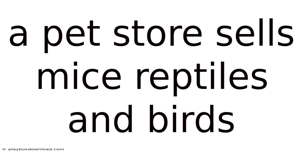 A Pet Store Sells Mice Reptiles And Birds