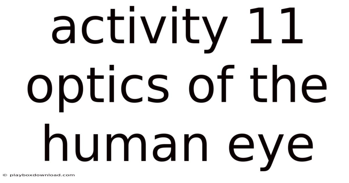 Activity 11 Optics Of The Human Eye