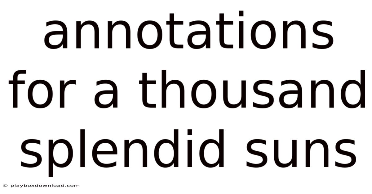 Annotations For A Thousand Splendid Suns