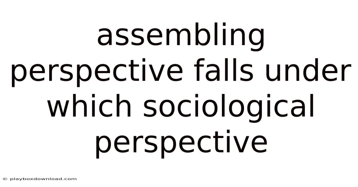 Assembling Perspective Falls Under Which Sociological Perspective