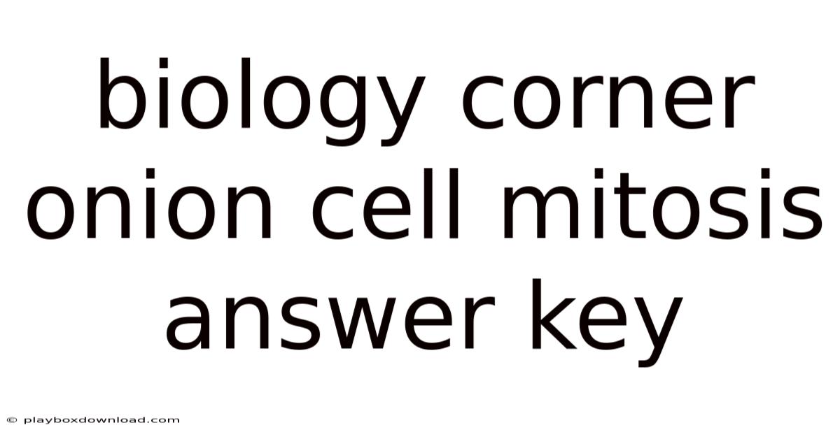Biology Corner Onion Cell Mitosis Answer Key