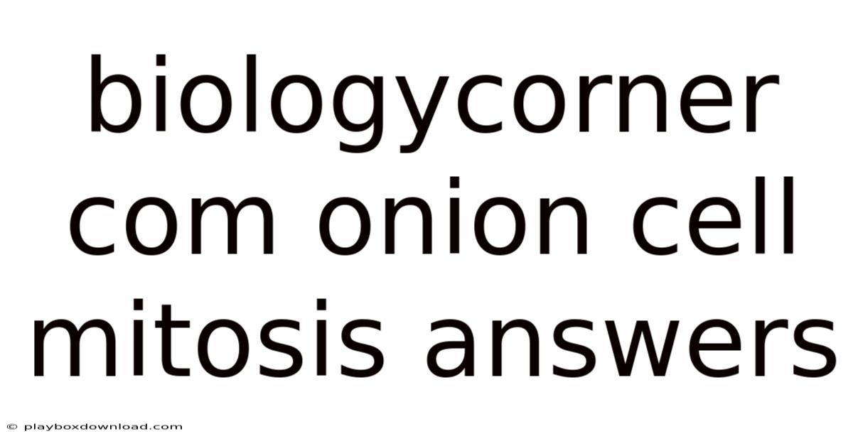 Biologycorner Com Onion Cell Mitosis Answers