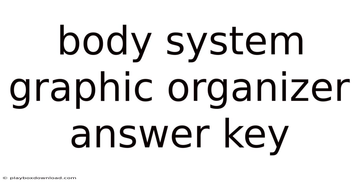 Body System Graphic Organizer Answer Key