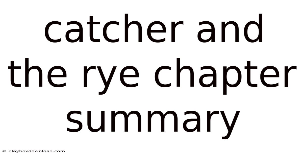 Catcher And The Rye Chapter Summary