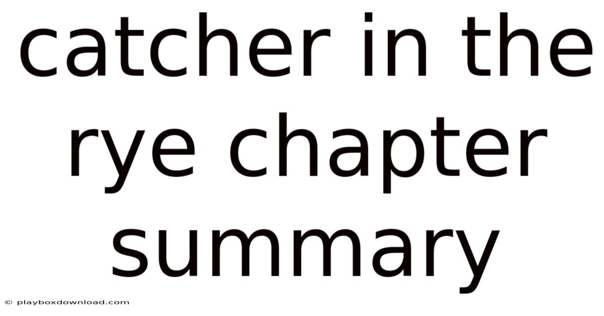 Catcher In The Rye Chapter Summary
