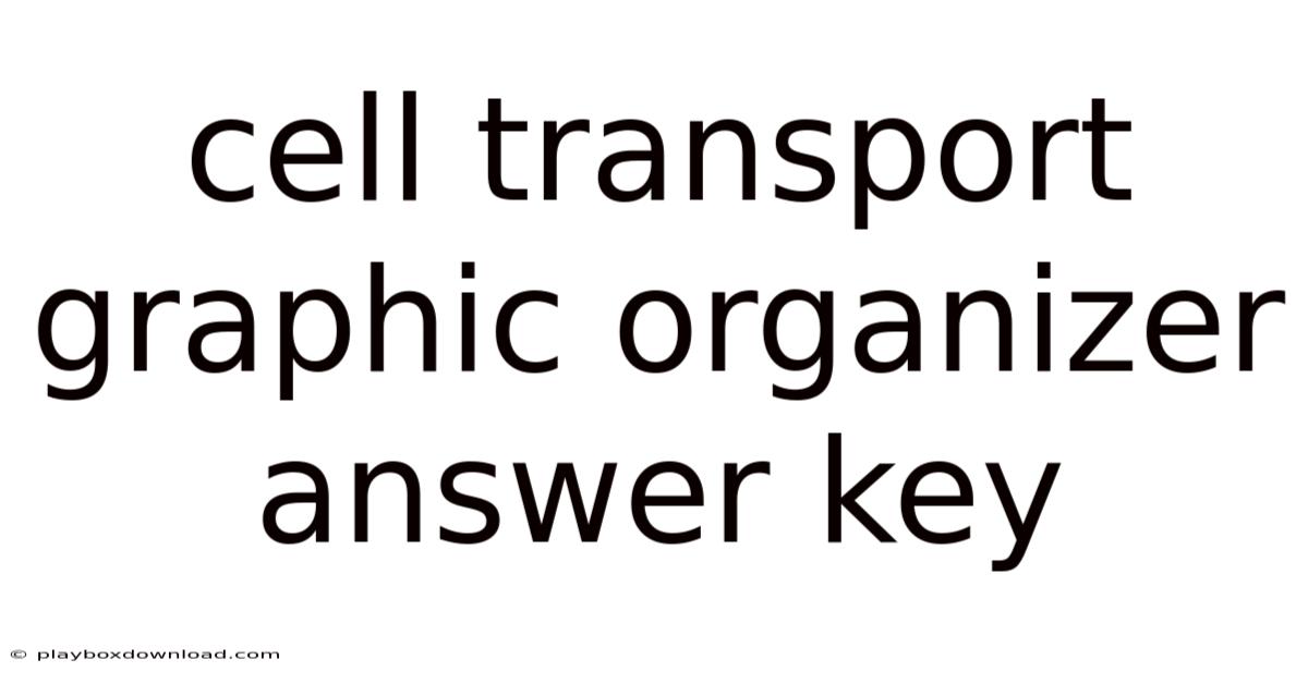 Cell Transport Graphic Organizer Answer Key
