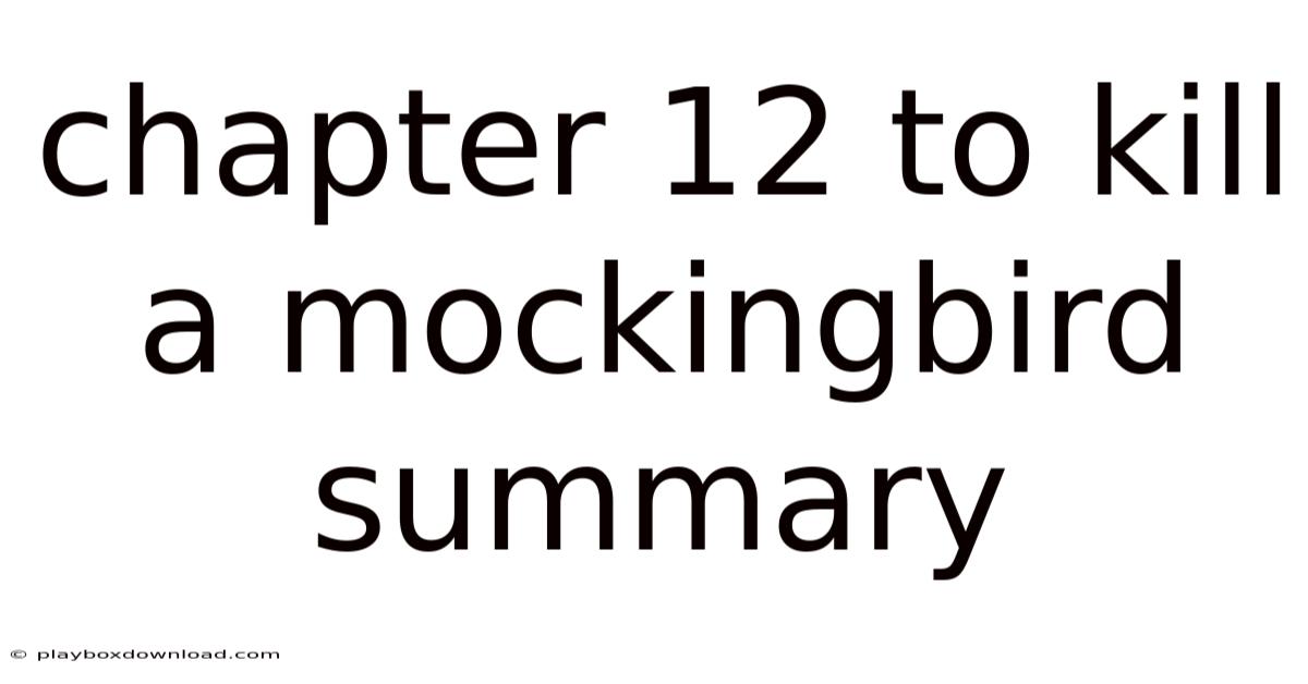 Chapter 12 To Kill A Mockingbird Summary