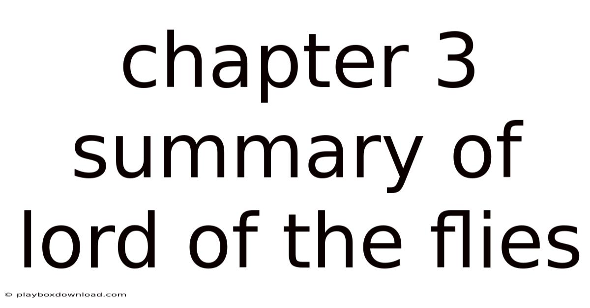 Chapter 3 Summary Of Lord Of The Flies
