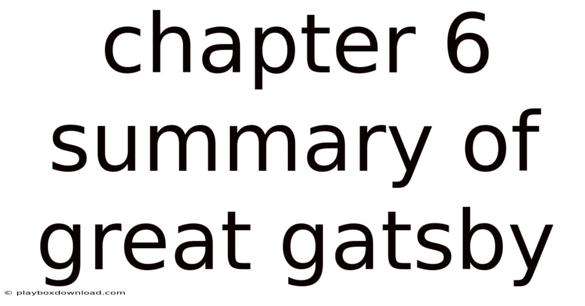 Chapter 6 Summary Of Great Gatsby