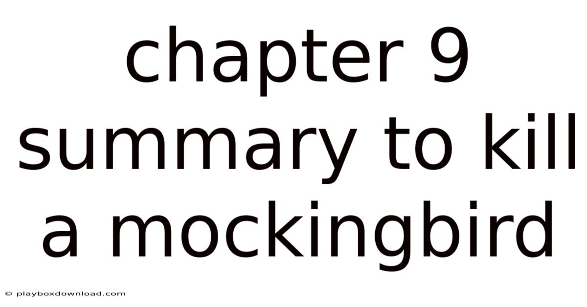 Chapter 9 Summary To Kill A Mockingbird