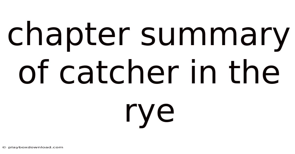 Chapter Summary Of Catcher In The Rye