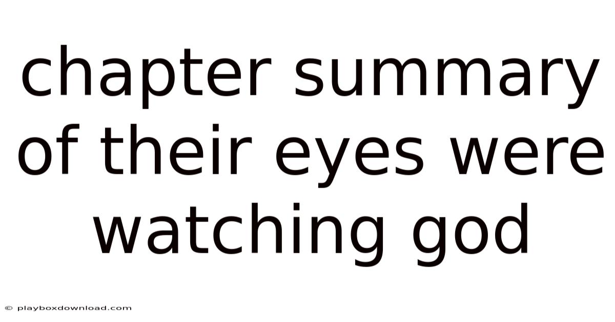 Chapter Summary Of Their Eyes Were Watching God
