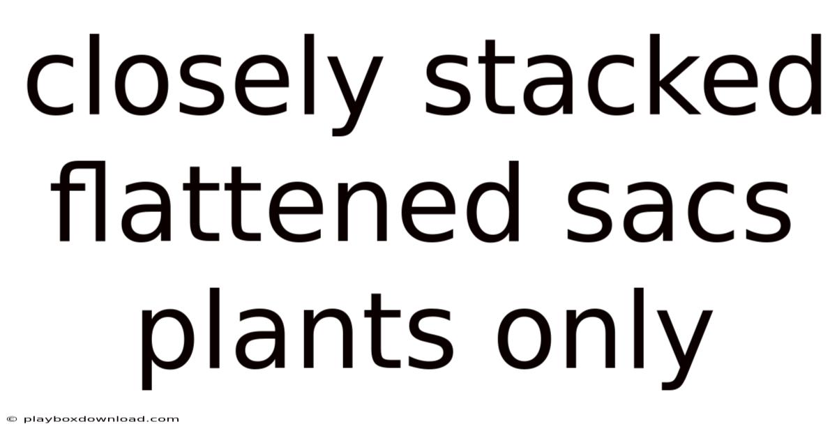 Closely Stacked Flattened Sacs Plants Only