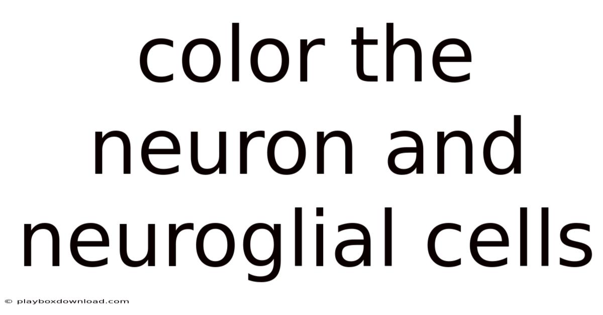 Color The Neuron And Neuroglial Cells