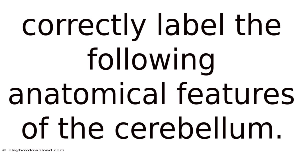 Correctly Label The Following Anatomical Features Of The Cerebellum.