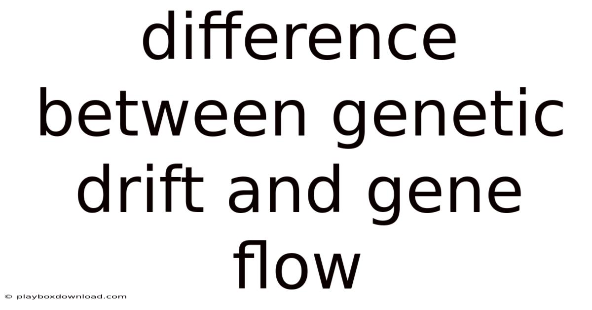 Difference Between Genetic Drift And Gene Flow