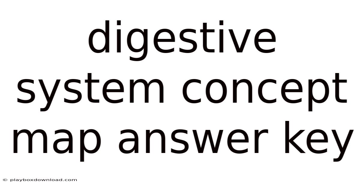 Digestive System Concept Map Answer Key