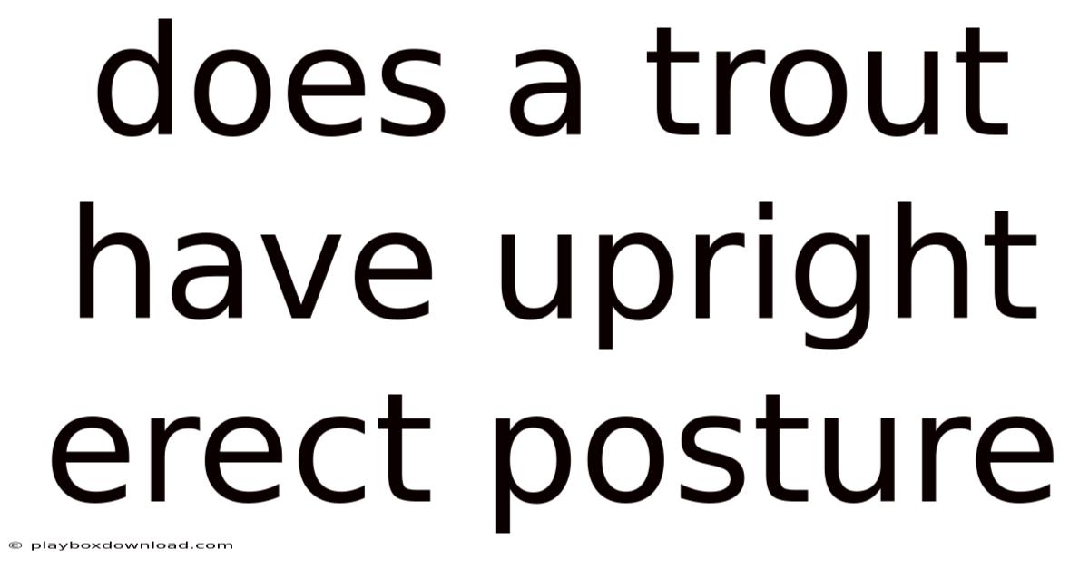 Does A Trout Have Upright Erect Posture