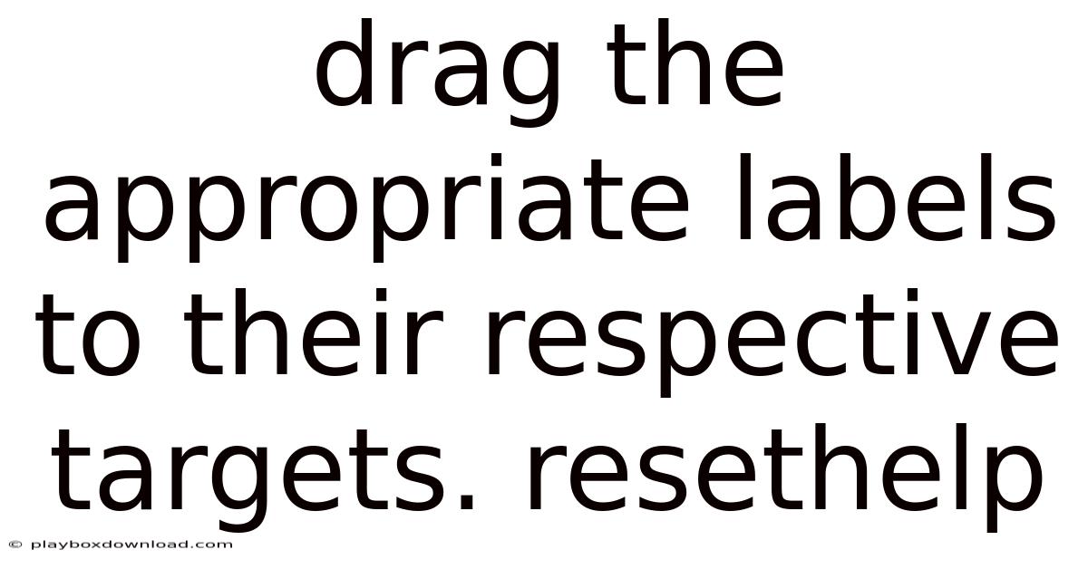 Drag The Appropriate Labels To Their Respective Targets. Resethelp