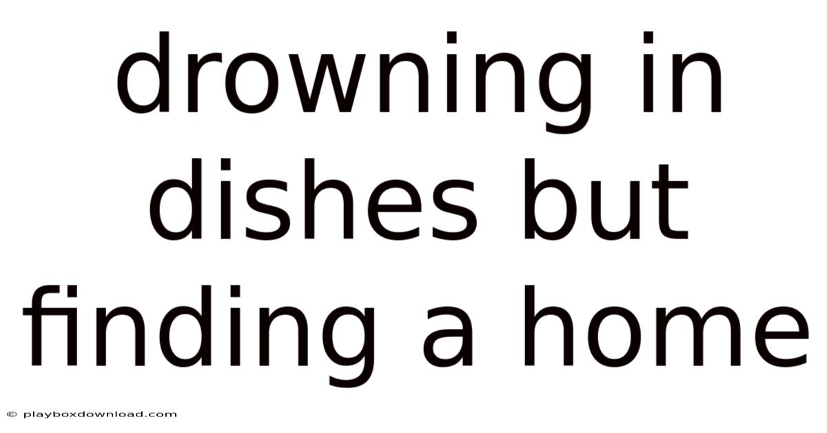 Drowning In Dishes But Finding A Home