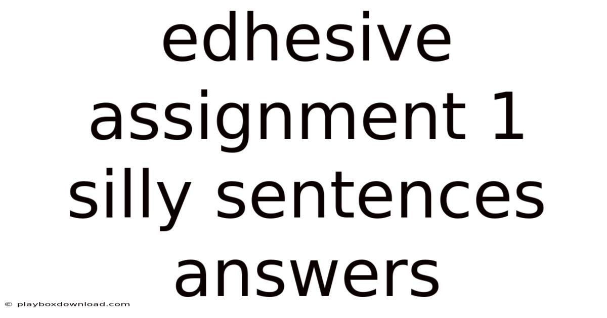 Edhesive Assignment 1 Silly Sentences Answers
