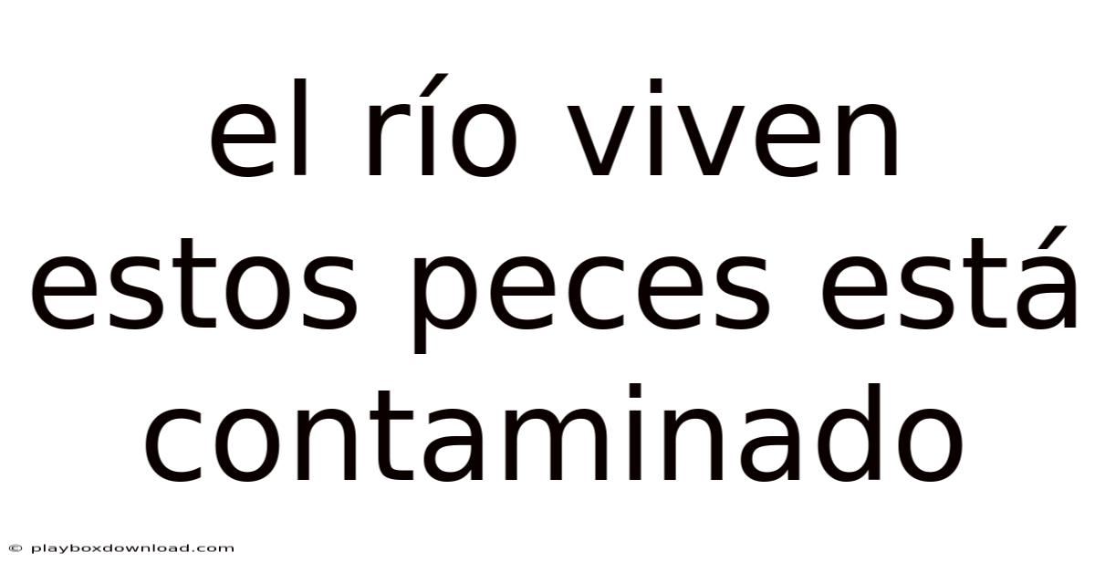El Río Viven Estos Peces Está Contaminado