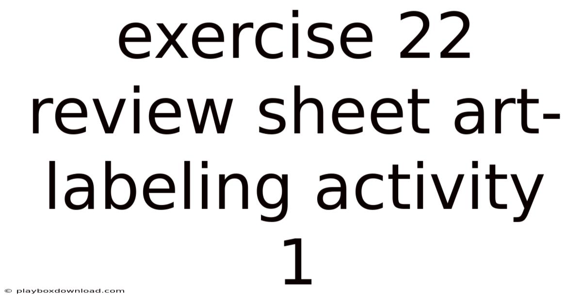 Exercise 22 Review Sheet Art-labeling Activity 1