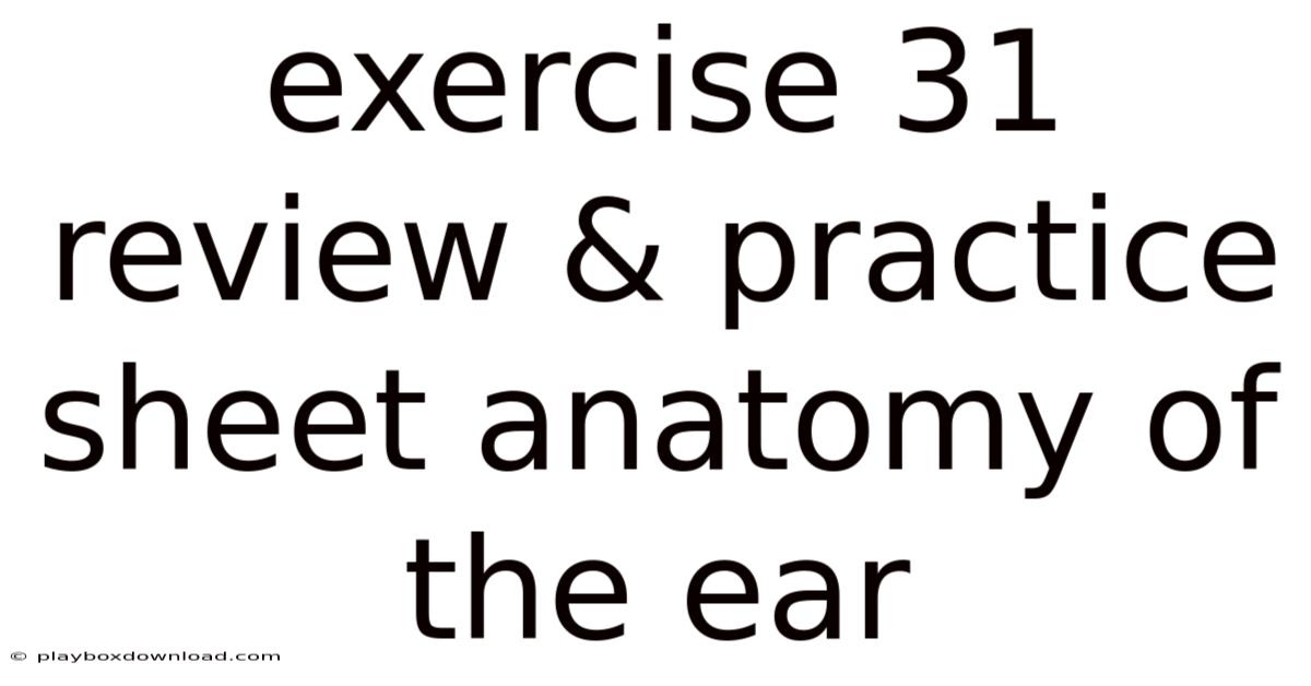 Exercise 31 Review & Practice Sheet Anatomy Of The Ear
