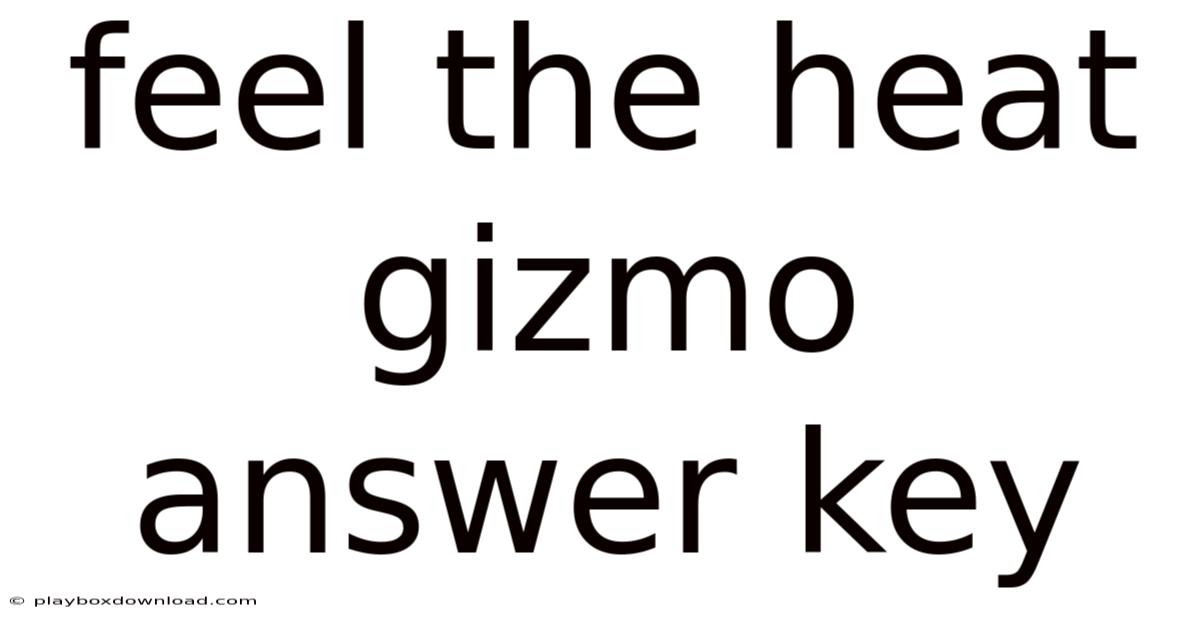 Feel The Heat Gizmo Answer Key
