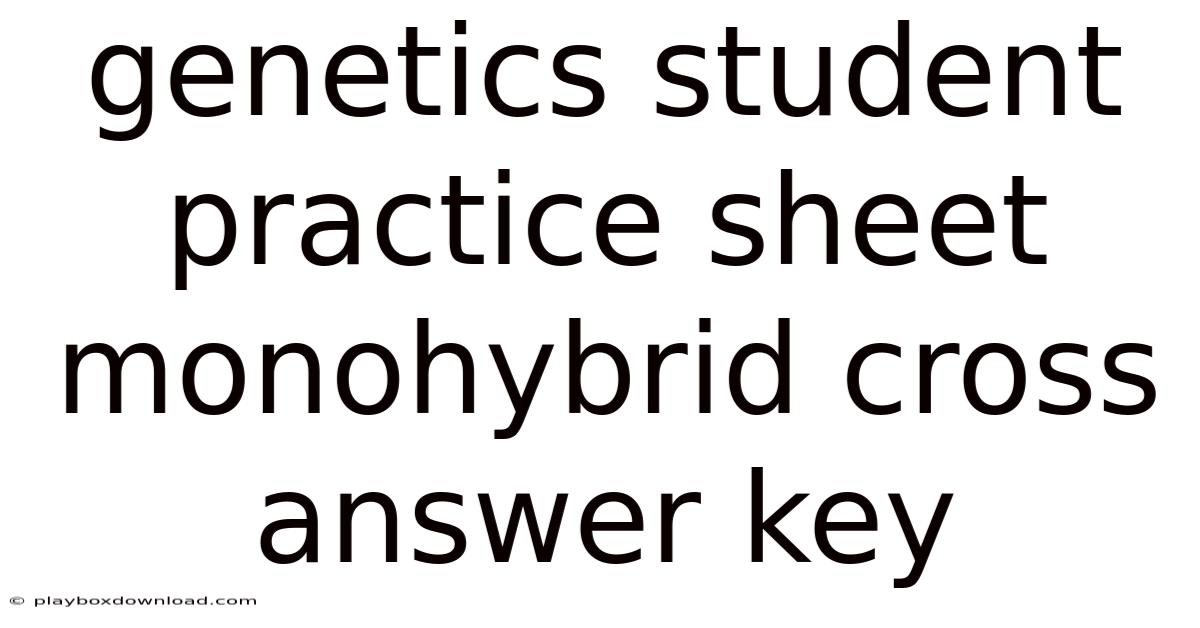 Genetics Student Practice Sheet Monohybrid Cross Answer Key