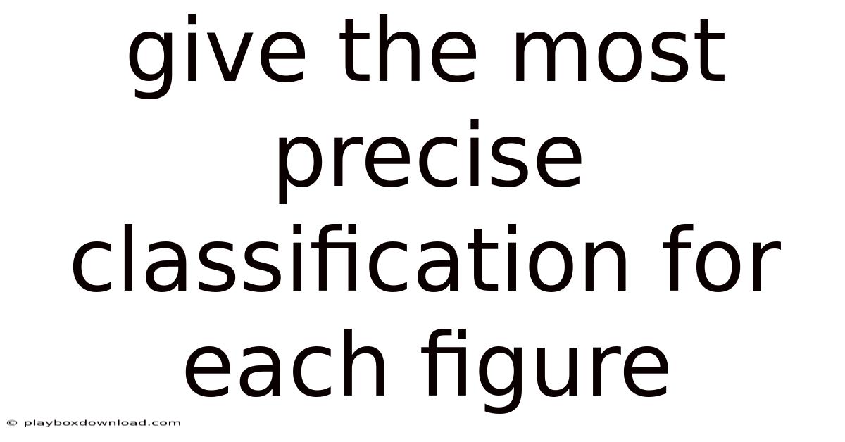 Give The Most Precise Classification For Each Figure