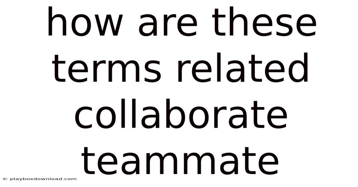 How Are These Terms Related Collaborate Teammate