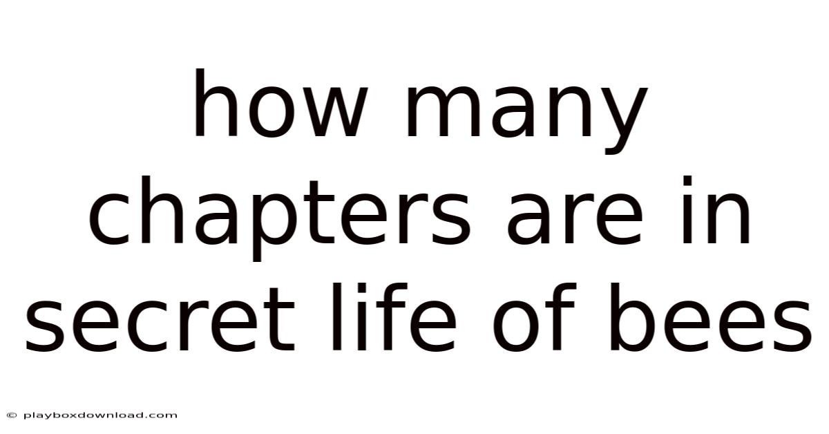 How Many Chapters Are In Secret Life Of Bees