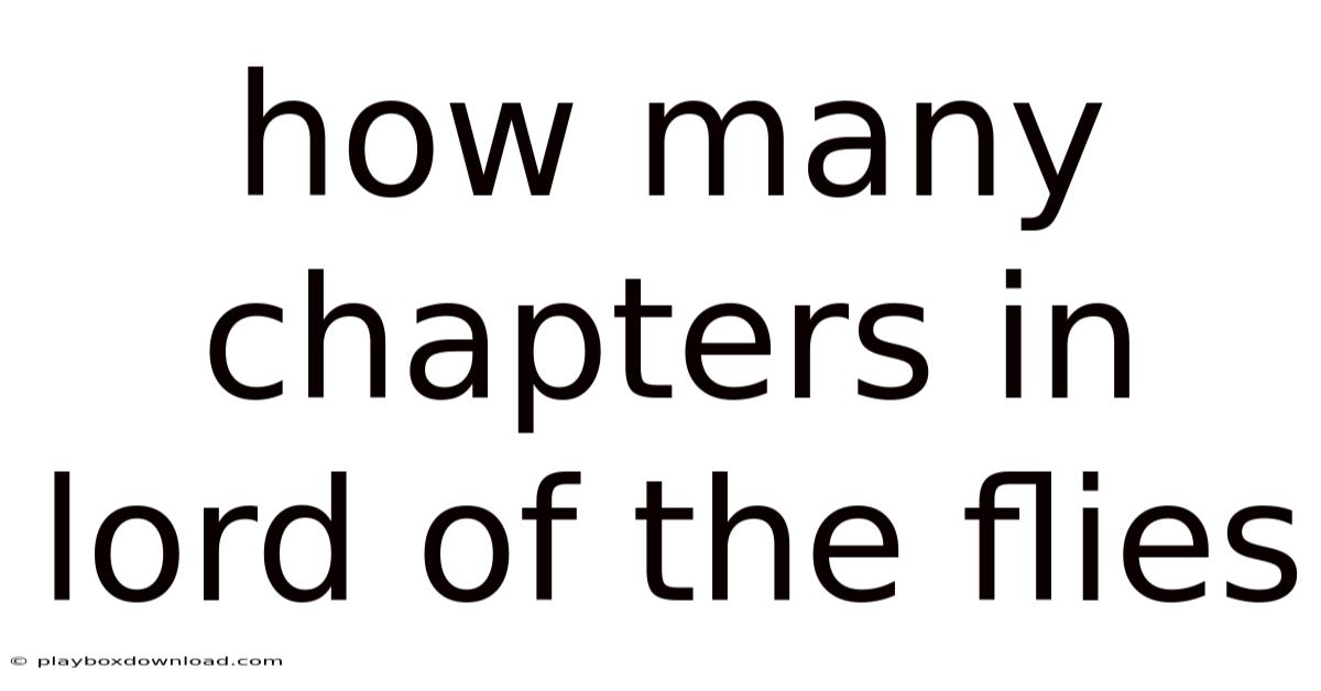 How Many Chapters In Lord Of The Flies
