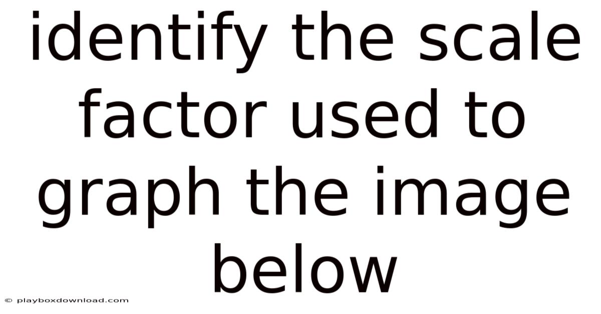 Identify The Scale Factor Used To Graph The Image Below