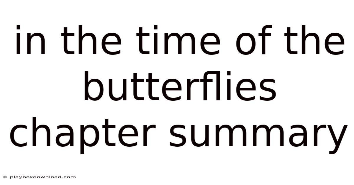 In The Time Of The Butterflies Chapter Summary