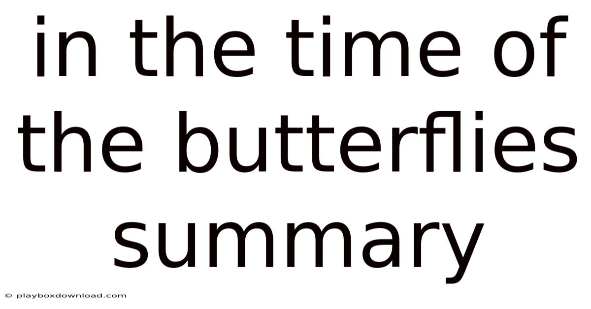 In The Time Of The Butterflies Summary