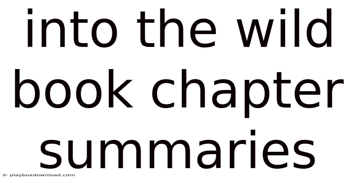 Into The Wild Book Chapter Summaries
