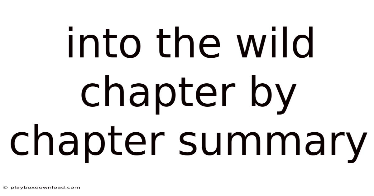 Into The Wild Chapter By Chapter Summary