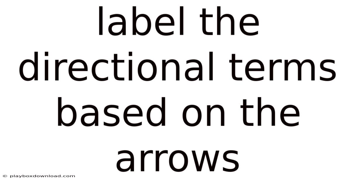 Label The Directional Terms Based On The Arrows