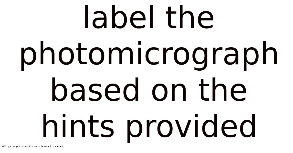 Label The Photomicrograph Based On The Hints Provided