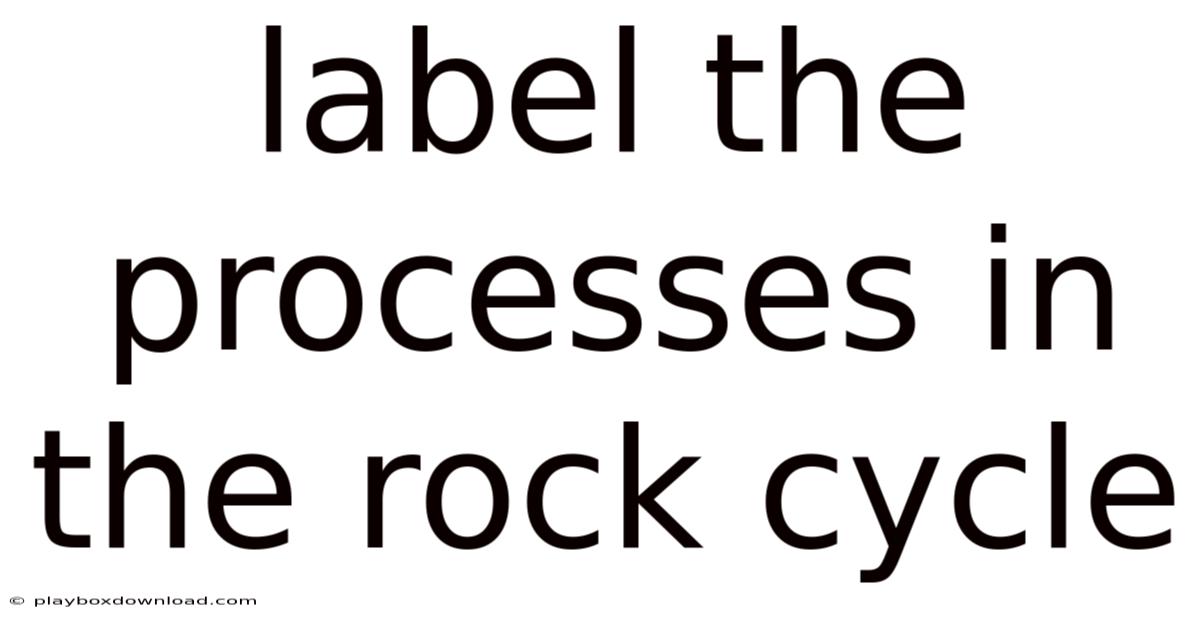 Label The Processes In The Rock Cycle
